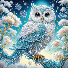 DIY 5D Partial Diamond Painting Kit for Beginners, Owl Diamond Art Kits for A...