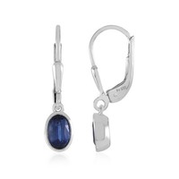 Cavill Ohrringe Damen Silber 925 Platin Kyanit 1,23Ct Ovalschliff