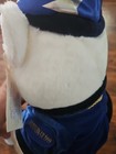 Foto 5 di 17