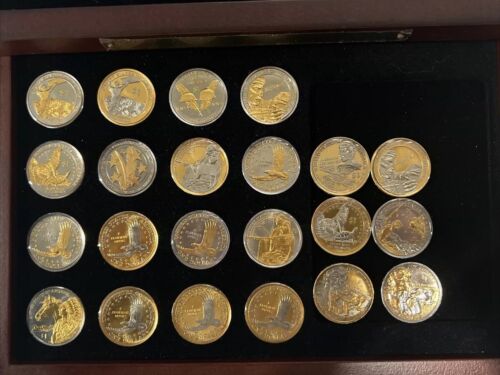 Platinum and Gold Highlighted Sacagawea Dollars - Picture 2 of 9