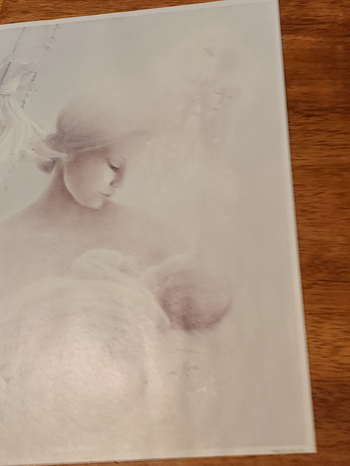 Picture 4 of 15