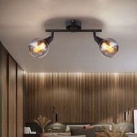 Deckenlampe Deckenleuchte Deckenstrahler 2 Flammig Glaskugel Rauch Schwarz Matt