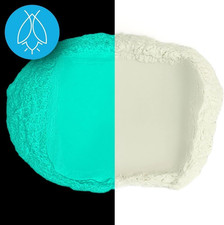 Glow in The Dark Pigment Powder Fluorescent Art Paint Nail Crafts 60g Aqua