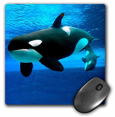 3dRose Killer Whales MousePad