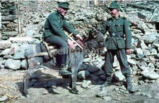 WW2 PICTURE PHOTO GERMAN SOLDIER IN A DUMB 6477