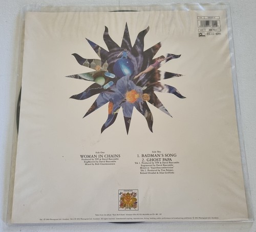 Tears For Fears Woman In Chains 12" Picture Disc UK 1992 Numbered Edition - Picture 5 of 9