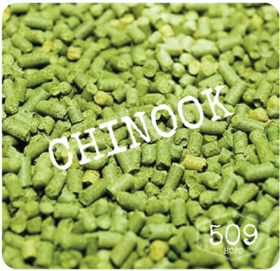 Chinook Hop Pellets 1 pound for Home Brew 509hops
