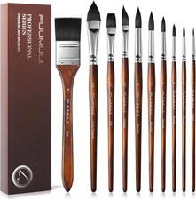 Watercolor Brushes Professional, 10Pcs Kolinsky Sable Brush Set Variety Sh