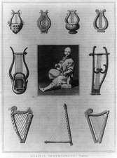 Photo:10 different plucked stringed instruments