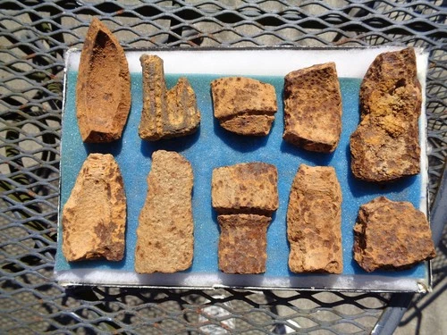 Group of Artillery with piece from a rare James Shell Chattanooga, Tennessee