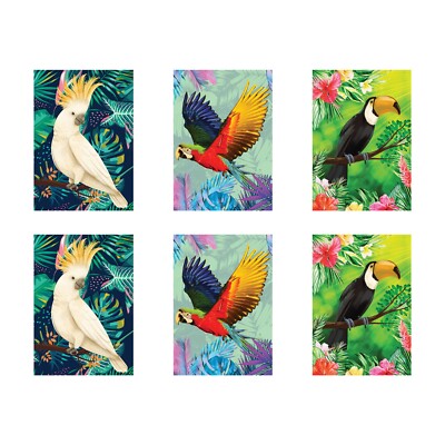 Tropische Vögel gemischte Auswahl doppelseitige Poster 6er Pack - 3 x bunte Vögel