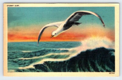 Seagull Stormy Surf Vintage Postcard Damaged DMG3