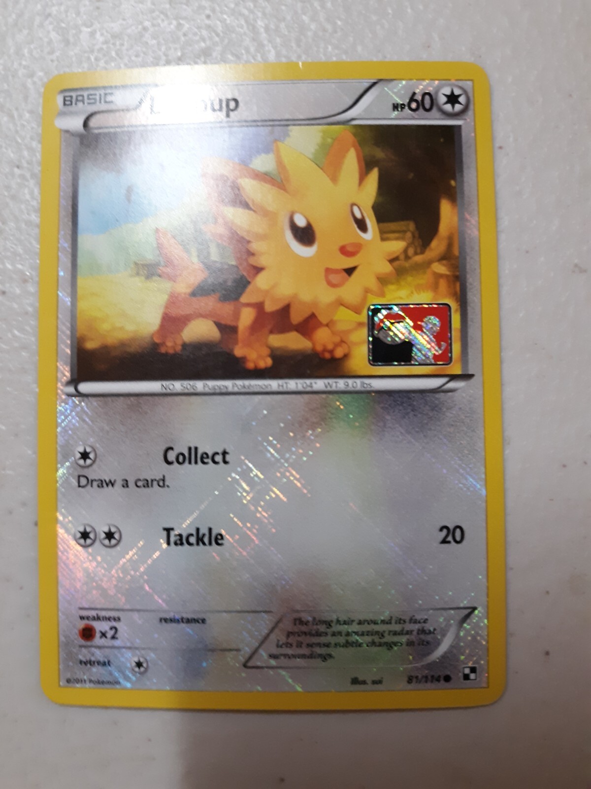Pokemon Promotional (Promo) Pokemon League REVERSE HOLO Lillipup 81/114 LP