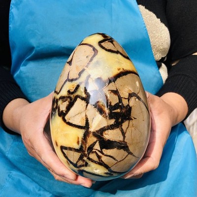 6.71LB Natural Septarian Dragon Stone Crystal Egg Quartz Healing Decoration