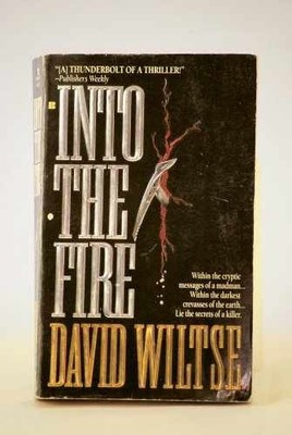 Into the Fire - Paperback, by Wiltse David - Acceptable