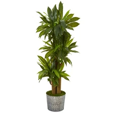 58" Corn Stalk Dracaena Artificial Plant, Black Embossed Tin Planter Real Touch