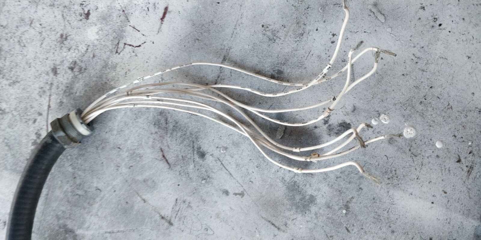 Altronic ignition Connection P/N 2930016 eBay