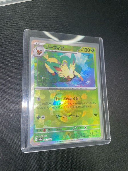 Leafeon Masterball - Booster to Toploader Mint
