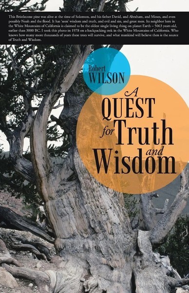 A Quest For Truth And Wisdom Robert Wilson Taschenbuch Kartoniert / Broschiert-image