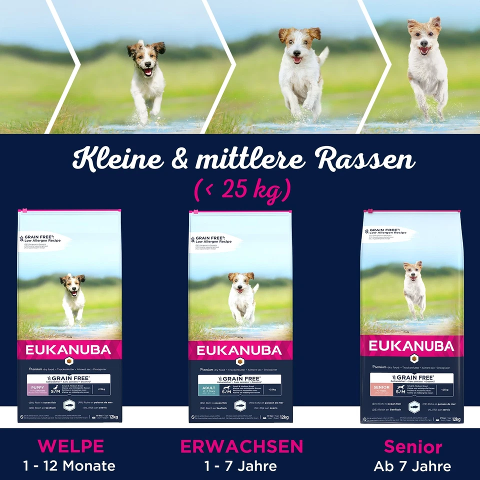 Hundefutter getreidefrei mit Fisch für kleine und mittelgroße Rassen - Trocke... - Bild 4 von 4