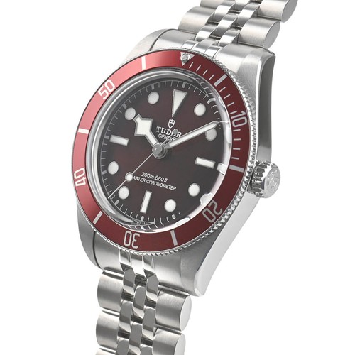 Tudor Black Bay 58 M7939A1A0RU-0001 SW18965