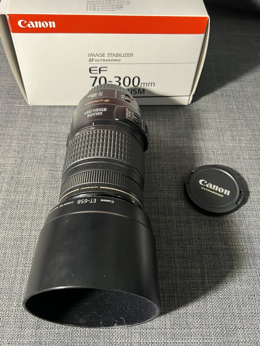 Canon EF70-300mm f4-5.6 IS Ⅱ USM S-047910x1500.jpg