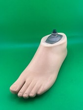 Sach prosthetic foot, left  right, sizes 22-30cm, new, Prosthetic Feet.