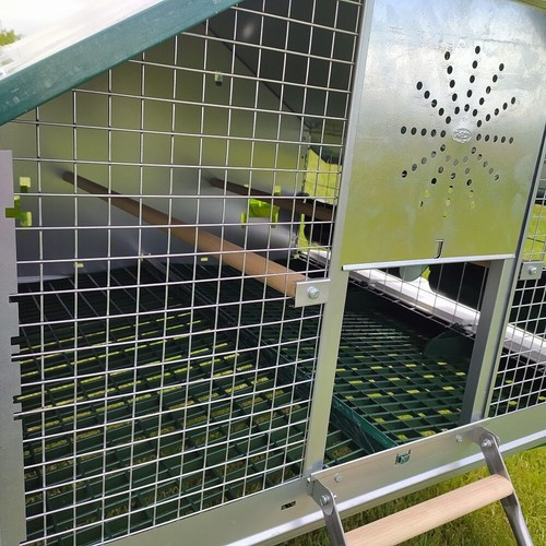 Pollaio da giardino per galline ovaiole – modello “REAL” 🐓 BOROTTO🔝ORIGINALE ❗ - Foto 2 di 13