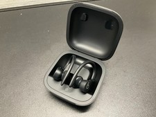 Beats by Dr. Dre Powerbeats Pro Ear-Hook Wireless Headphones Black A2048