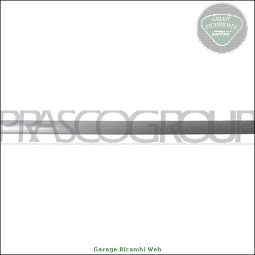 Modanatura Prasco VG0341463 per Portiera Posteriore Dx Golf IV 97-03