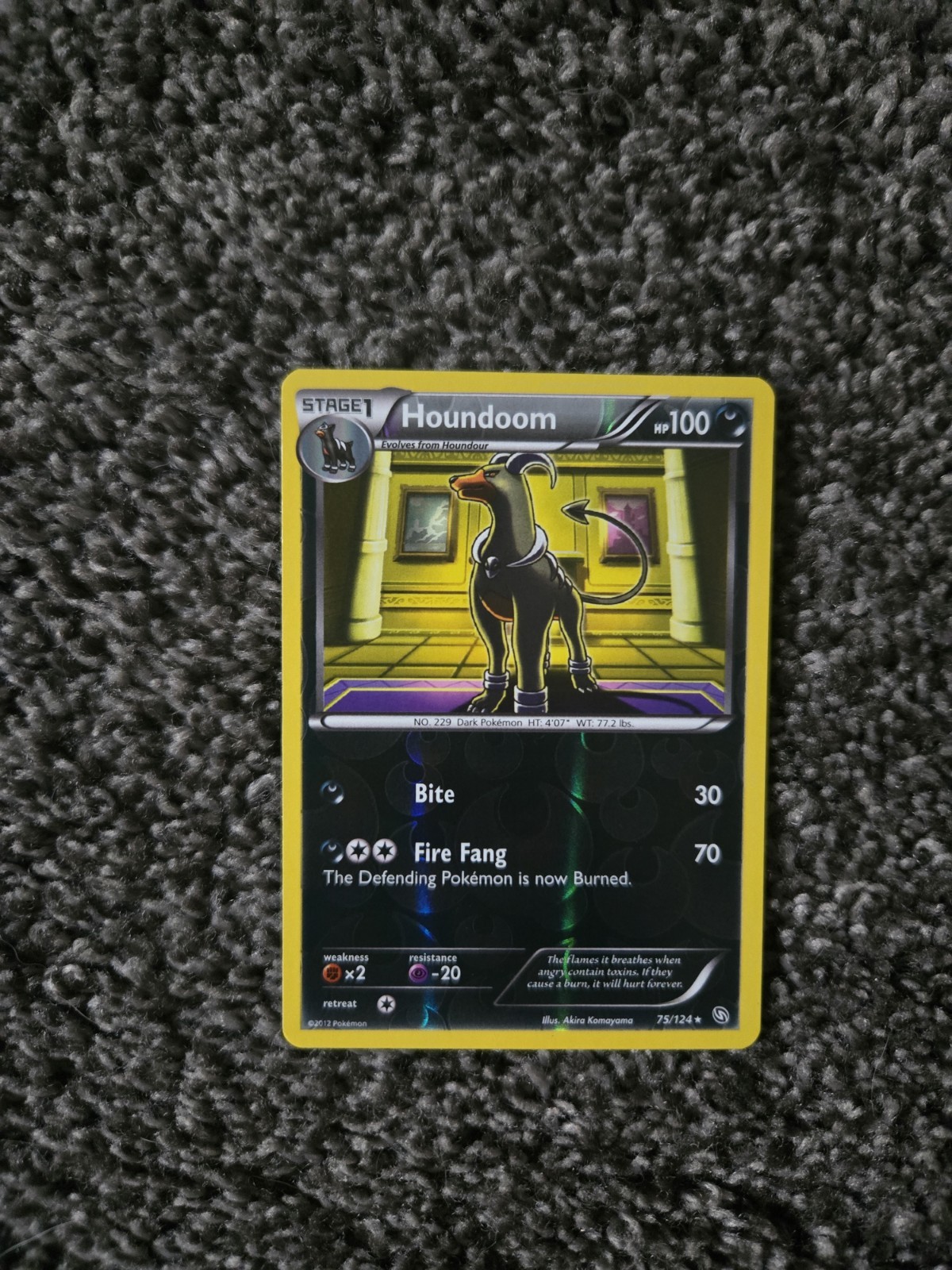 Houndoom 75/124 Dragons Exalted Reverse Holo NM Pokemon Card