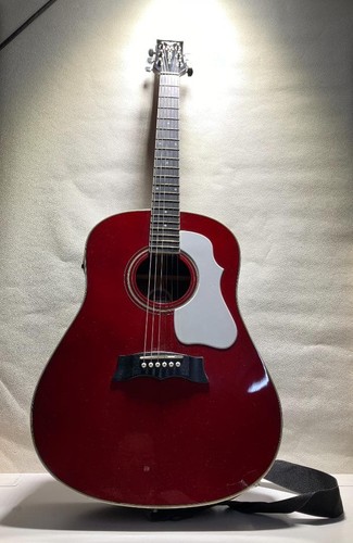 Morris G-401WR acoustic guitar