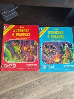 Dungeons & Dragons 1981 Game Books Basic Rules Expert Rules TSR Binder Punched