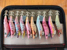 Egi 2.5 size 10 set with case fishing lure bait Egi set