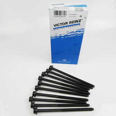 Zylinderkopfschrauben Satz REINZ VW SEAT 1,0l 1,4l AUC AKK AUD AKP ANX ALD ANV