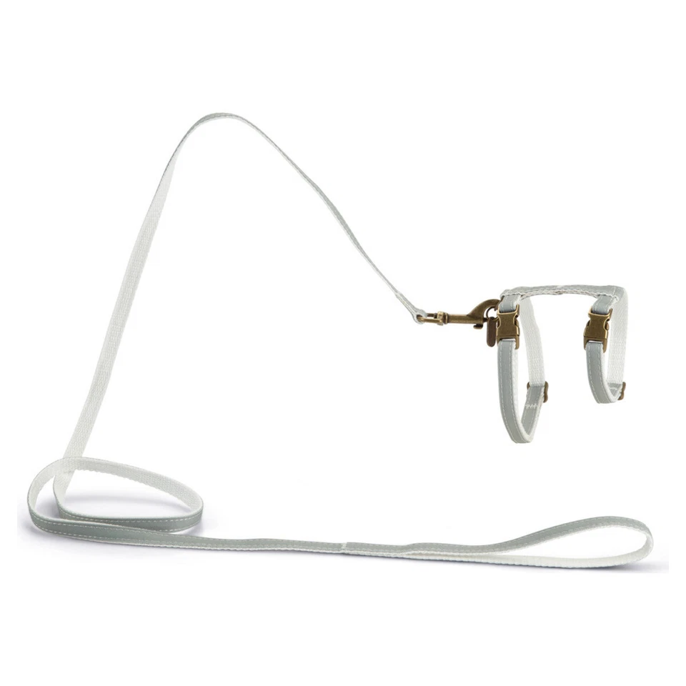 Designed by Lotte Katzengeschirr Virante Mint 27-45 cm für Katzen 10mm