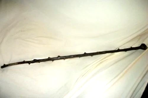 ANTIQUE FOLK ART WALKING STICK CANE THORNY WOOD BRANCH BRASS SLEEVE PRIMITIVE - Image 3 of 4