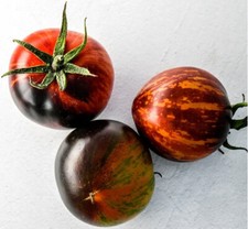 30 SEMI DI POMODORO REGINA DELLA NOTTE