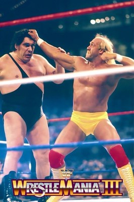 WWE GIANT 24 x36  POSTER - WRESTLEMANIA 3 HULK HOGAN ANDRE THE GIANT