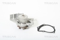 Wasserpumpe MotorküHlung Triscan 8600 28010 FüR CitroËN Fiat Suzuki Lancia Scudo