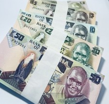 1986 ZAMBIA 100 x 2 5 10 20 50 KWACHA BANK BUNDLES ZAMBIAN BANKNOTES AFRICA UNC