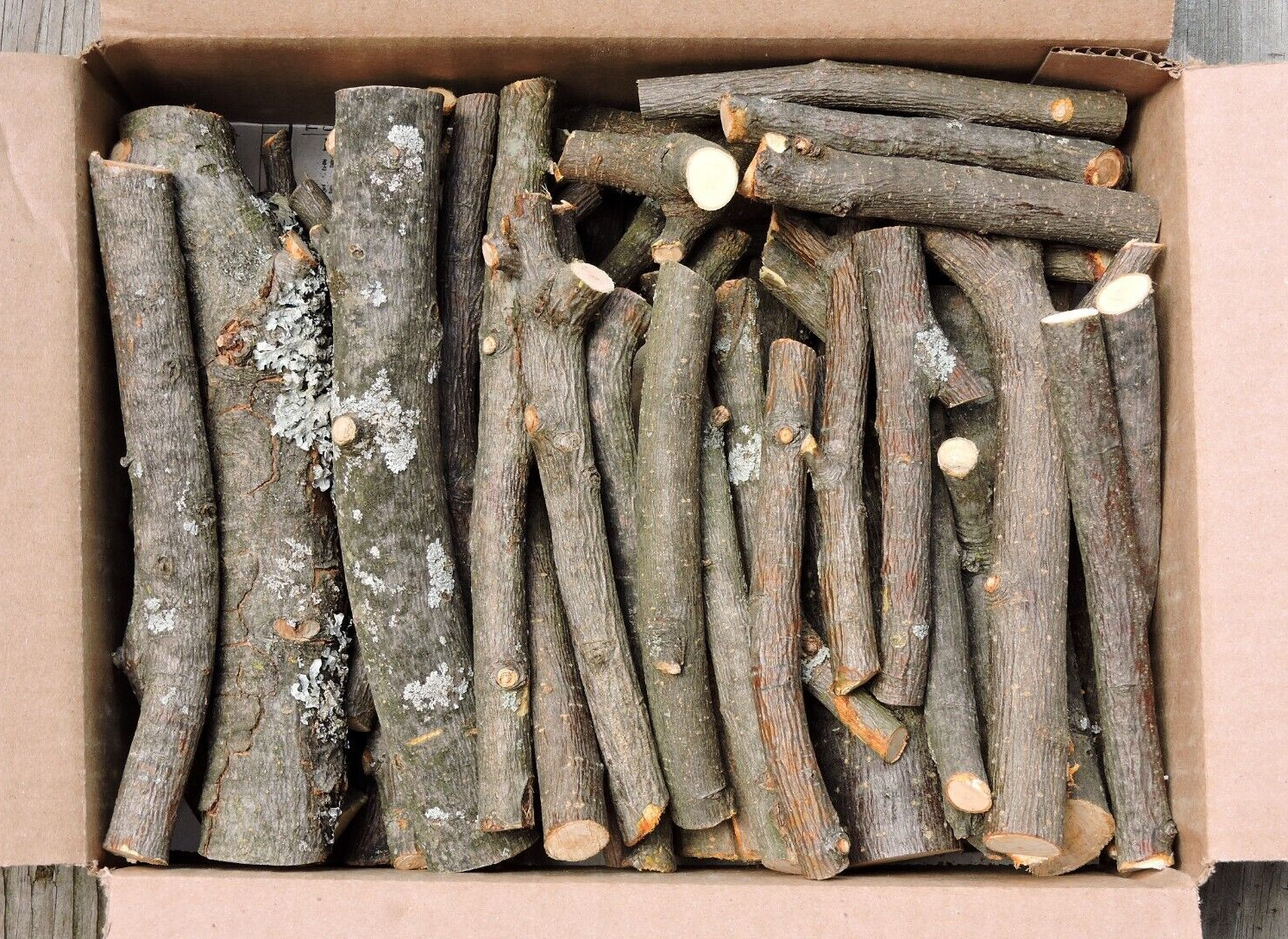 5+Lbs Apple Wood Stick Log Chunk 1/2~2"D 2~8"L for BBQ Smoking Grilling Craft