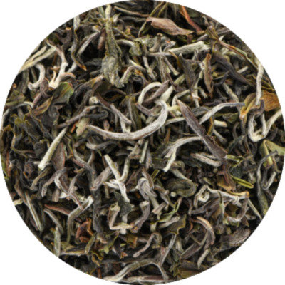 Darjeeling g.g.A. FF 'Snowview' Spring Delight (Bio) 1 KG - Weich, mild, ausgewo