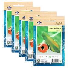 Papaya Seeds Asian Fresh Vegetable Home Thai Garden Herb Plants Thailand Pack x5