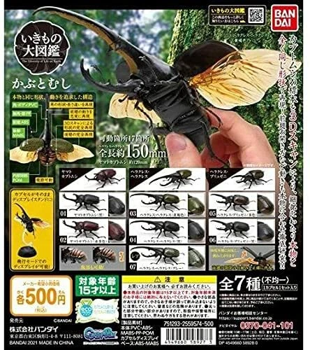 Hercules beetle様専用-