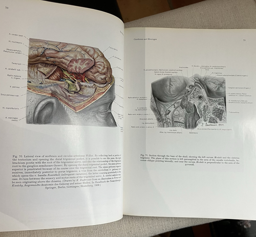 ATLAS OF TOPOGRAPHICAL & APPLIED HUMAN ANATOMY Vol 1 -1963 Hardcover -E.Pernkopf - Picture 12 of 22