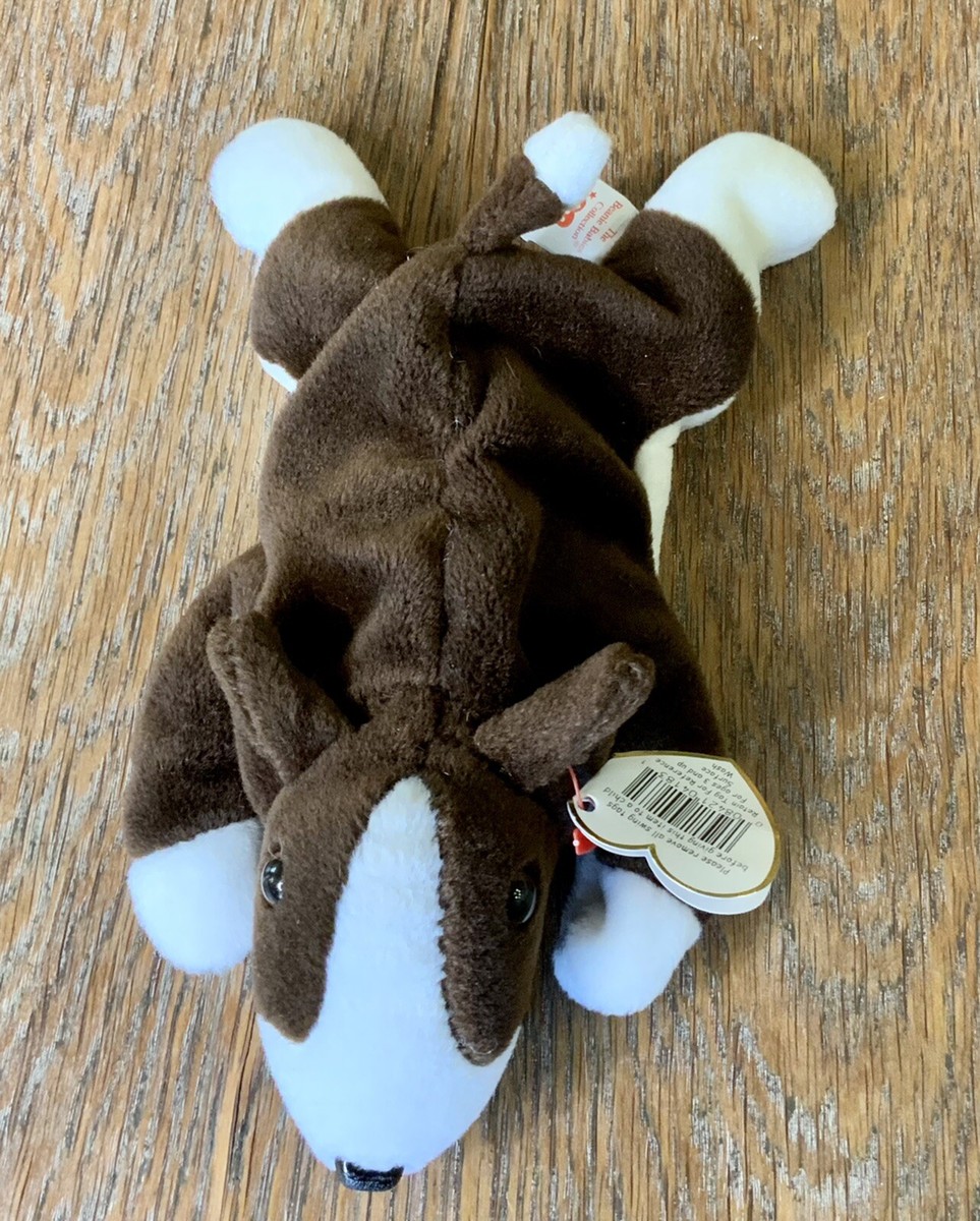 TY Beanie Baby Bruno the Bull Terrier Dog Pristine with Mint Tags RETIRED  Euc