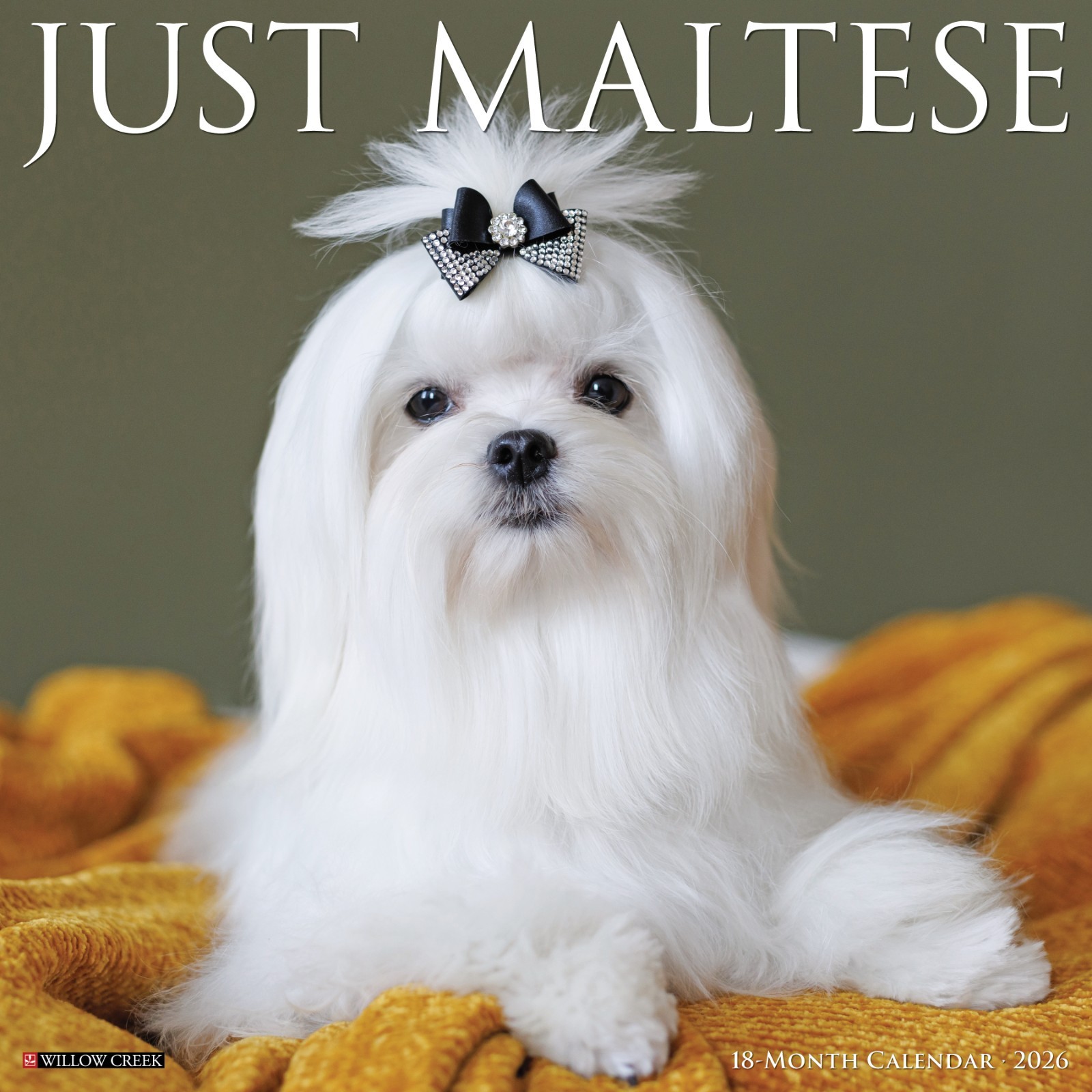 Maltese 2026 12" x 12" Wall Calendar (free shipping)