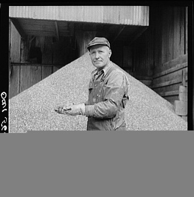 Photo:Industrial Worker with Grain Pile 1900s Black and White Photo