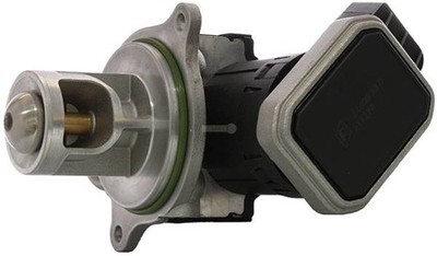 AGR Ventil A6401401860 Neu Original BorgWarner für * Mercedes